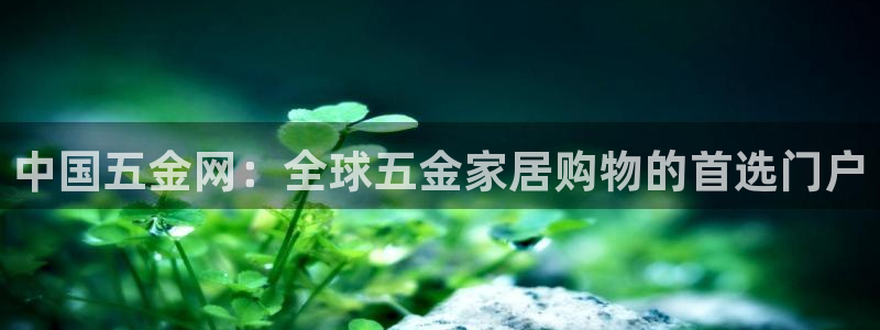 云顶高中国际部学费