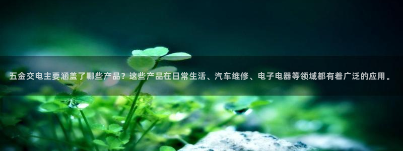 云顶国际提现不到账怎么办