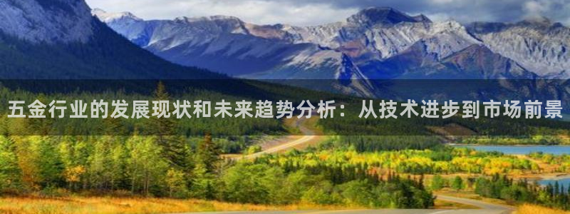 云顶集团有限公司简介概况