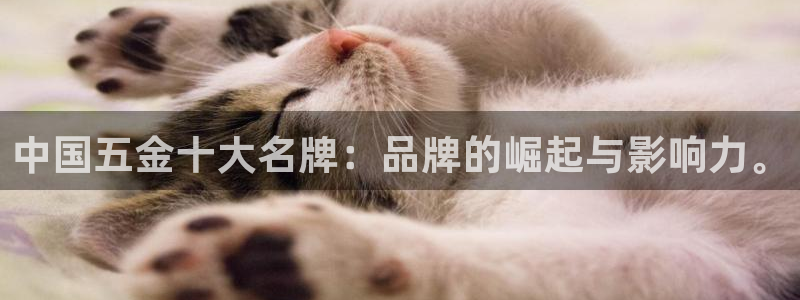 云顶国际官方网站下载