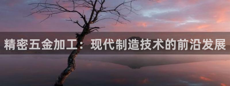 云顶国际培训中心怎么样