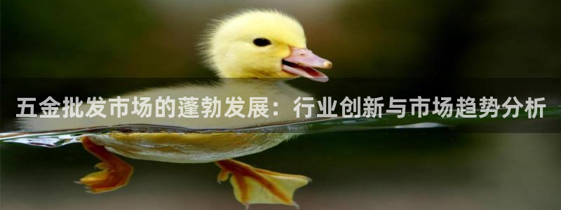 云顶国际酒店老板叫什么