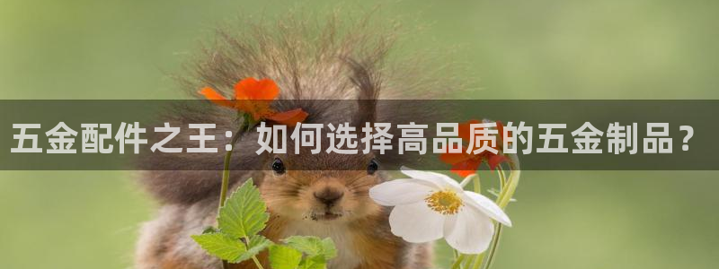 云顶国际服名字