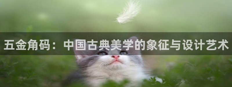 云顶集团 林国泰