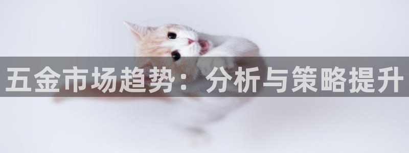 云顶集团app下载官网老版本