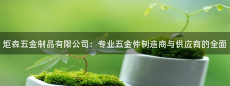 云顶国际赌彩公司下载