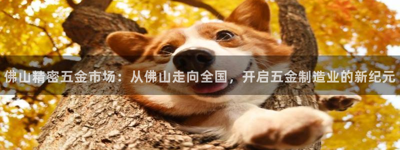 云顶国际大厦在什么地方