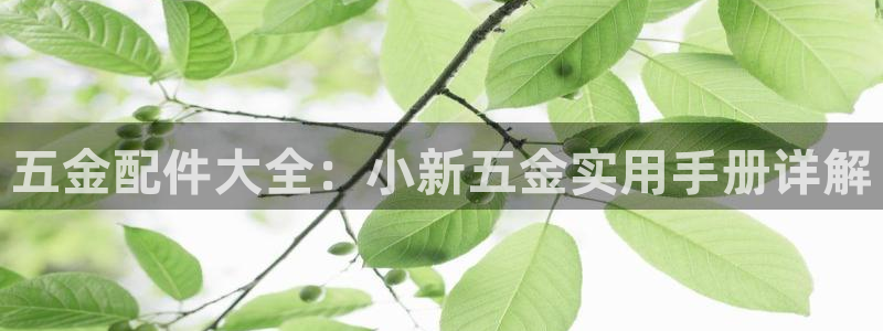云顶国际平台游戏app