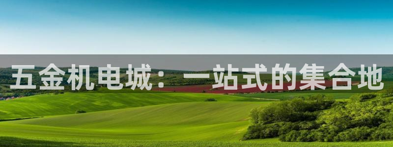 云顶国际部HKDSE