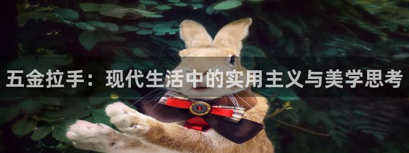 云顶国际服最新版