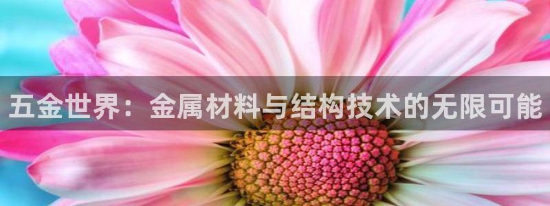 云顶最新套路2021