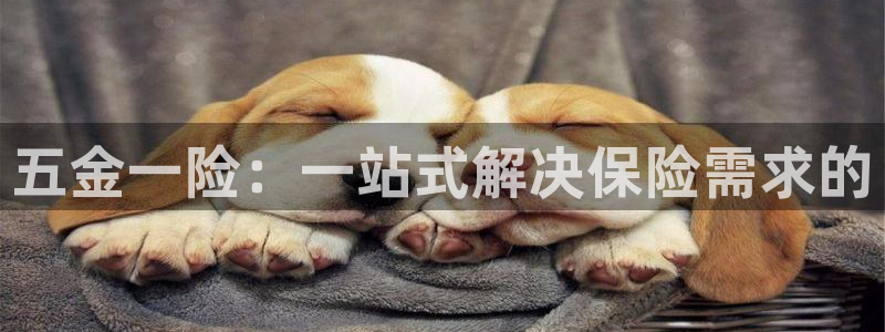 云顶集团3118app下载