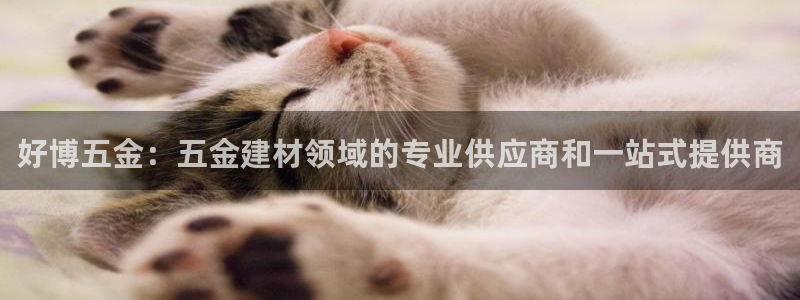 云顶国际服更新时间是几点