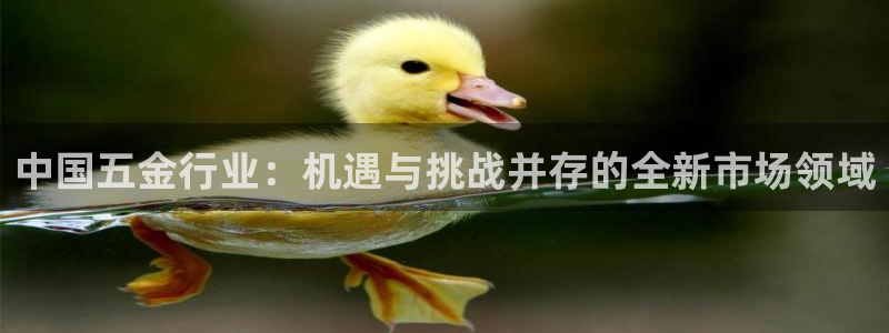 云顶国际官网app下载安装