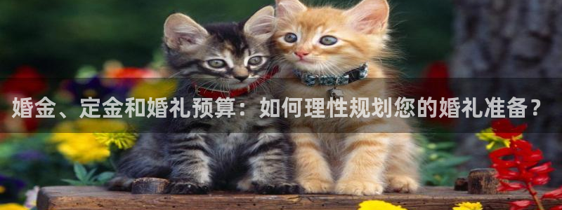 云顶国际yd222