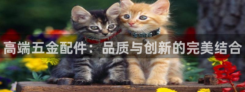 云顶国际麻将胡了