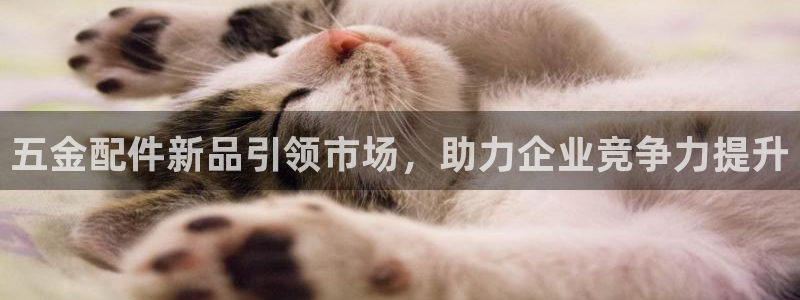 云顶国际服服务端错误