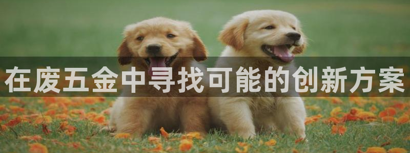 奉化云顶国际ktv