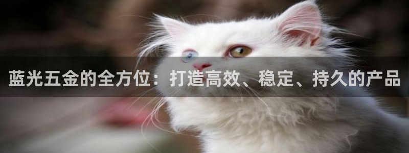 云顶集团官网电话号码