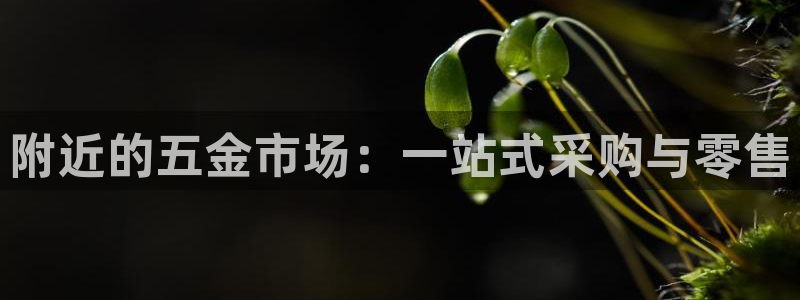 云顶集团董事长林东简历照片