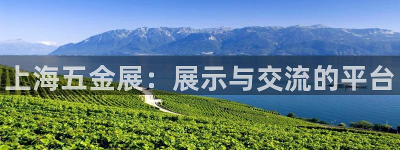 云顶国际婚礼大酒店位于哪里