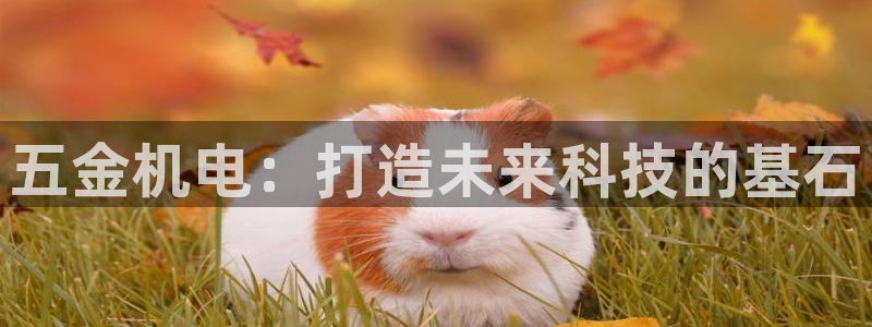 云顶国际大酒店招聘信息