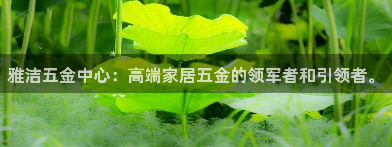 云顶国际前台电话号码