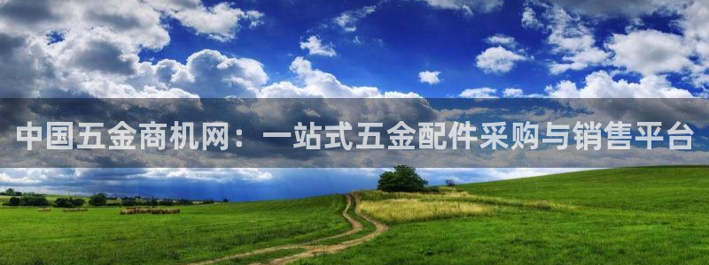 云顶国际投资有限公司怎么样