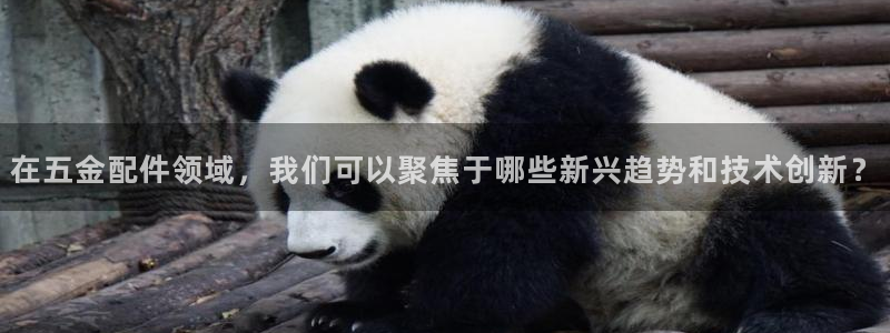 淮北云顶国际俱乐部招聘