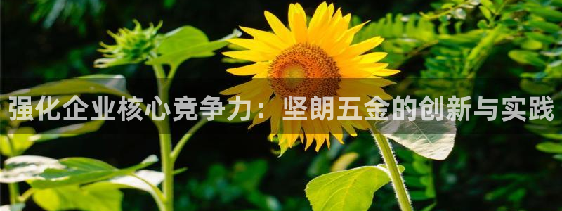 云顶国际黑不黑