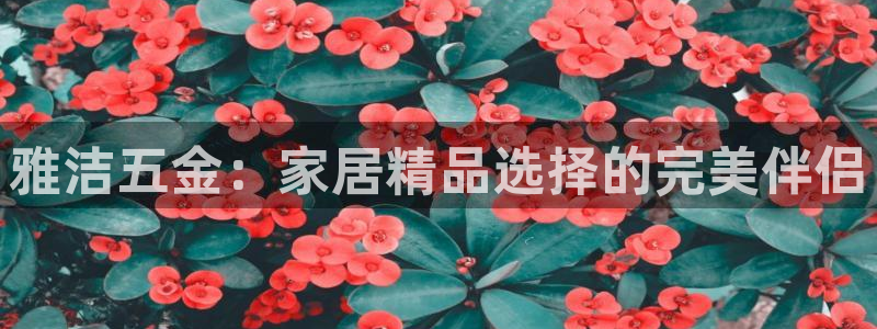 云顶游戏官网网址