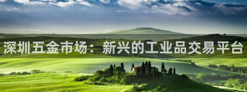 云顶电子游戏平台