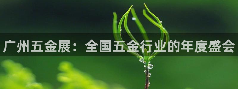 云顶国际商业广场A座101室