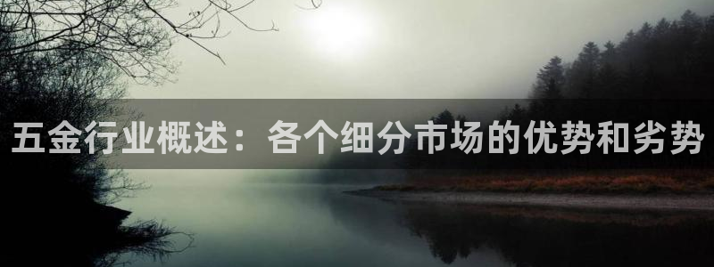 云顶国际晟荣协会高峰