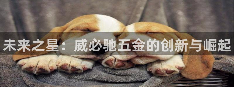 云顶国际旅行社怎么样