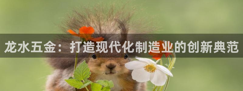 云顶国际老板是谁