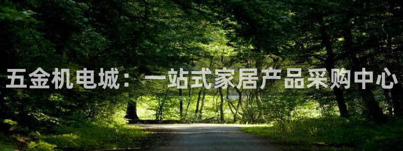 云顶国际服叫啥