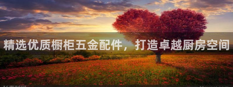 云顶国际平台为什么提现不了微信