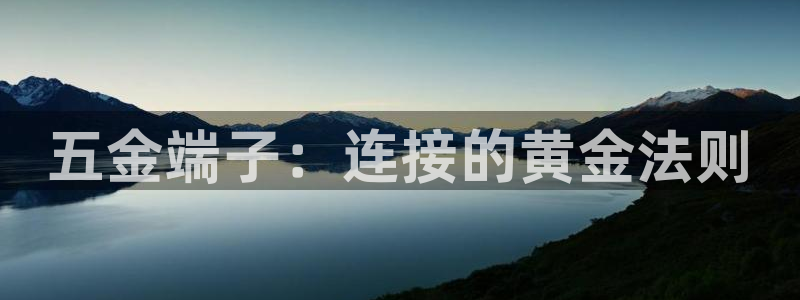 云顶国际酒店老板叫什么