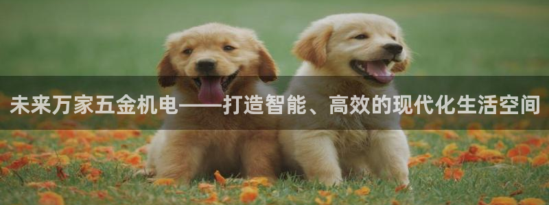 云顶国际服叫啥