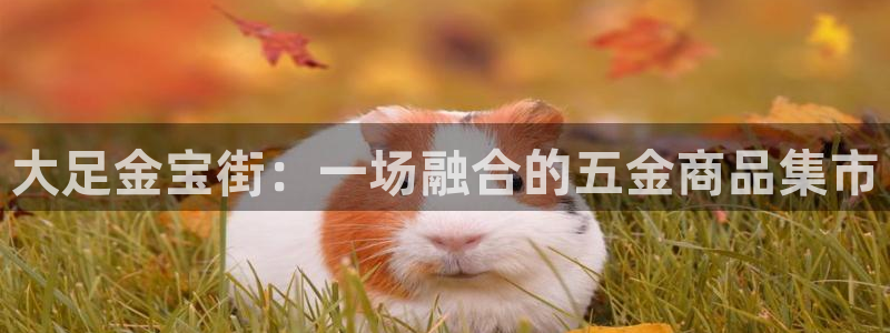 云顶国际app官方网站下载