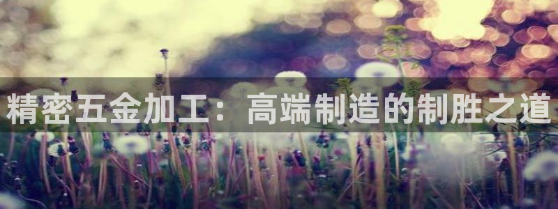 云顶国际大厦地址