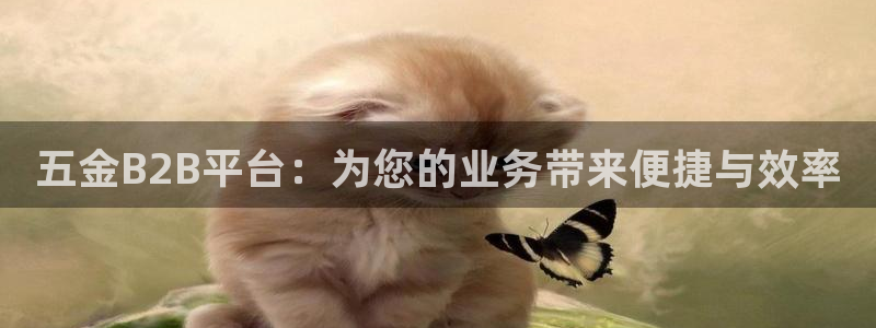 云顶集团app免费下载