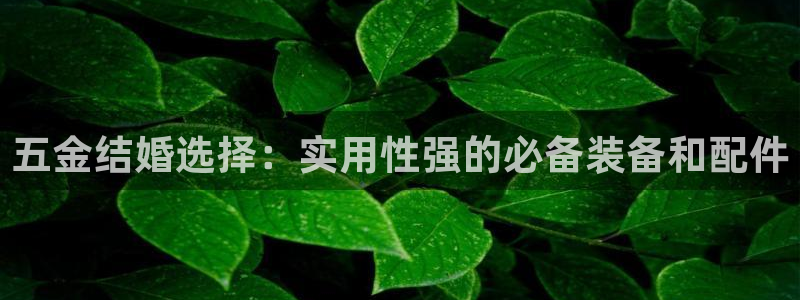 云顶集团app免费下载安装