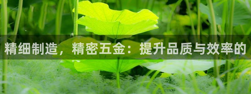 云顶国际app官方下载安卓