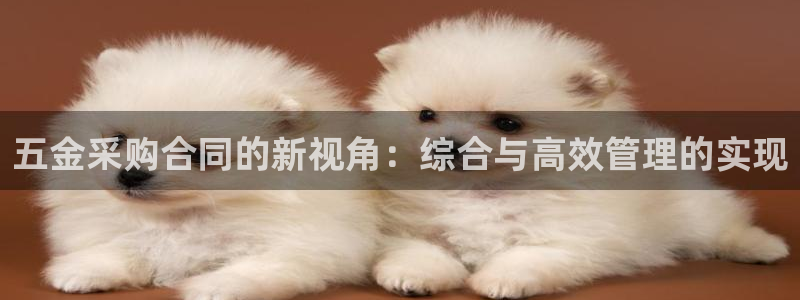 云顶国际服汉化