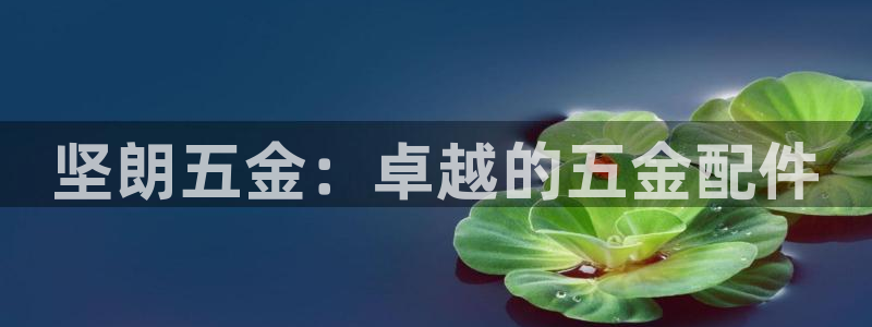 云顶国际能提现吗