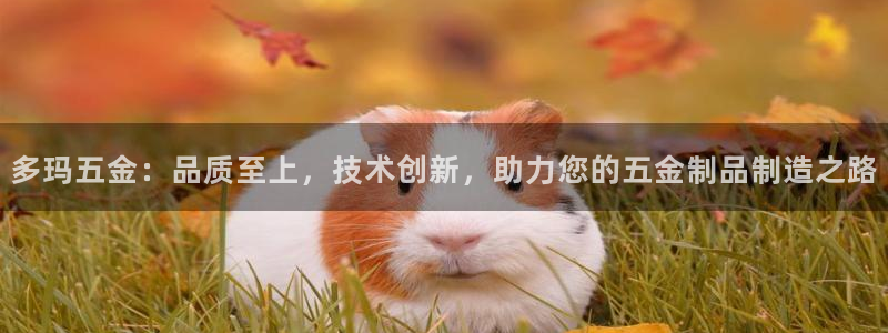 云顶国际怎么样