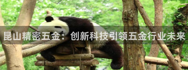 云顶国际app下载安装