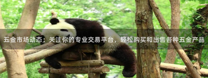 怎么下载云顶国际服